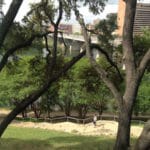 Trees shade Austin's Lady Bird Lake Trail near 1st Street Bridge